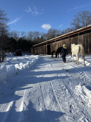 Winter Riding Ring